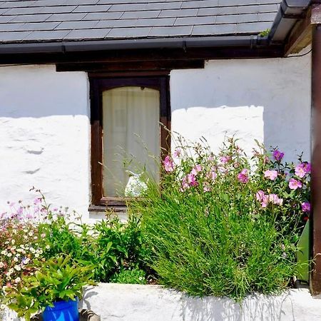 Stunning Annexe 1 Luxury Bedroom, Eating Area & Bathroom Only! Truro Extérieur photo