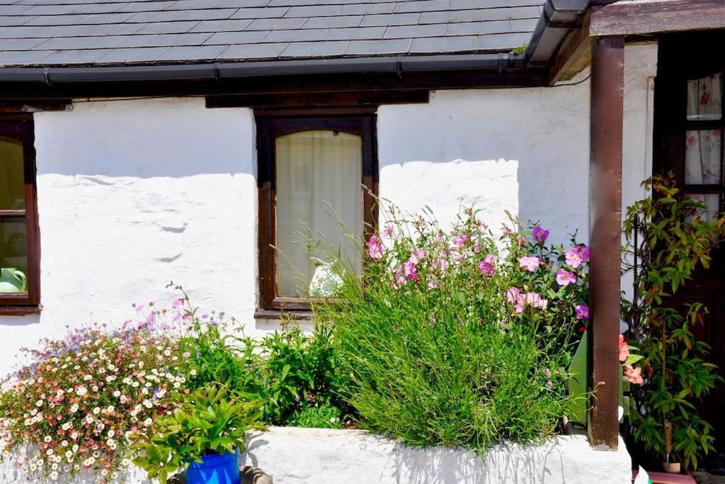 Stunning Annexe 1 Luxury Bedroom, Eating Area & Bathroom Only! Truro Extérieur photo