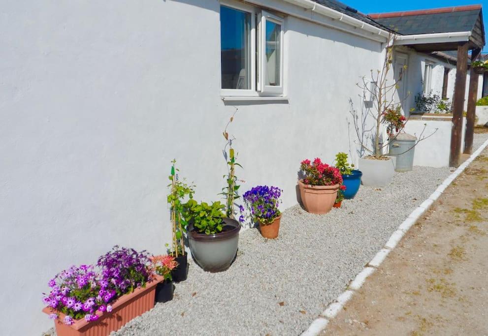 Stunning Annexe 1 Luxury Bedroom, Eating Area & Bathroom Only! Truro Extérieur photo